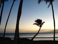 View from the hotel in Maui