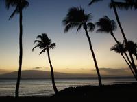 View from the hotel in Maui