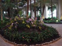 Inside the hotel at the Hyatt on Maui