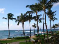 The Sheraton Beach front hotel on Kuai - the view from our room