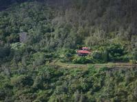 There is one house in amongst all the lava rock and trees.  It is in a direct path of a future erruption